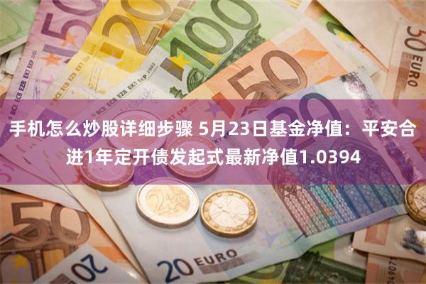 手机怎么炒股详细步骤 5月23日基金净值：平安合进1年定开债发起式最新净值1.0394