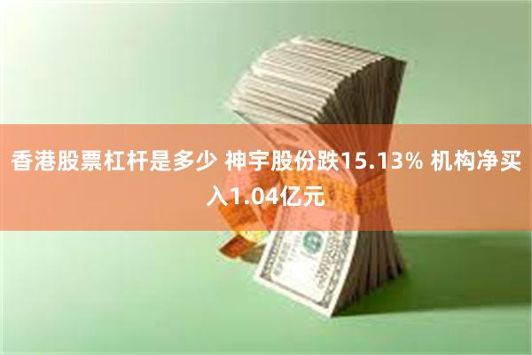 香港股票杠杆是多少 神宇股份跌15.13% 机构净买入1.04亿元