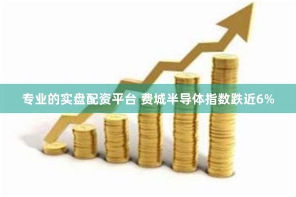 专业的实盘配资平台 费城半导体指数跌近6%