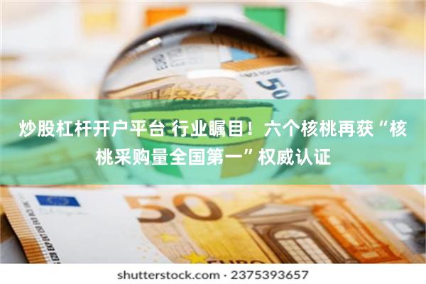 炒股杠杆开户平台 行业瞩目！六个核桃再获“核桃采购量全国第一”权威认证