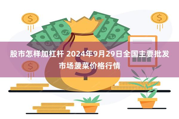 股市怎样加杠杆 2024年9月29日全国主要批发市场菠菜价格行情