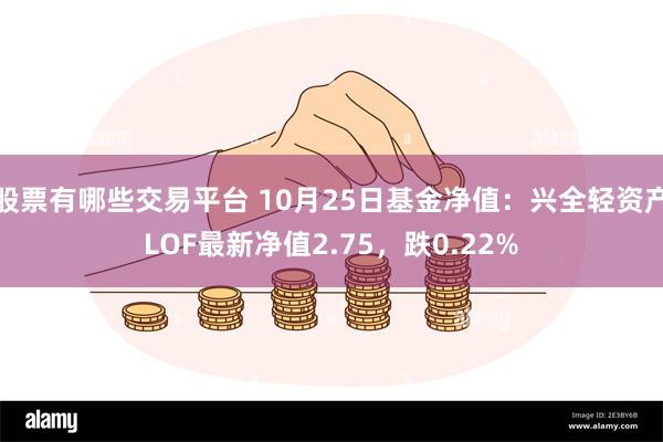 股票有哪些交易平台 10月25日基金净值：兴全轻资产LOF最新净值2.75，跌0.22%