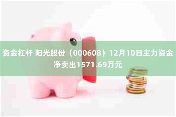 资金杠杆 阳光股份（000608）12月10日主力资金净卖出1571.69万元