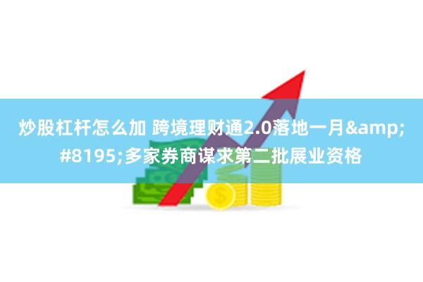 炒股杠杆怎么加 跨境理财通2.0落地一月&#8195;多家券商谋求第二批展业资格